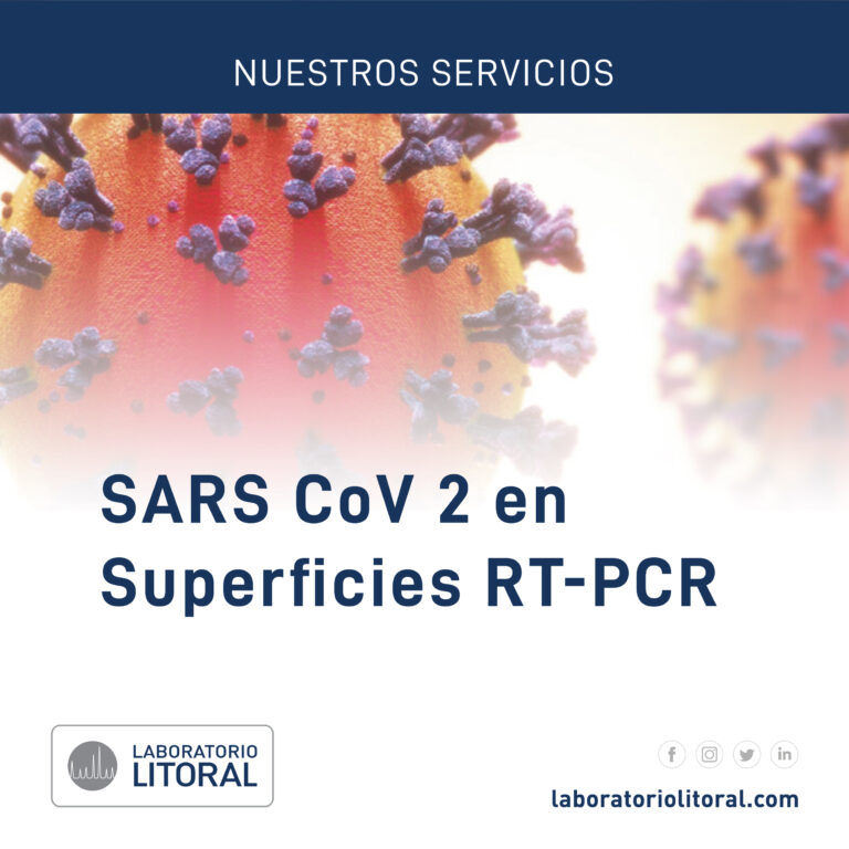 SARS CoV 2 en Superficies