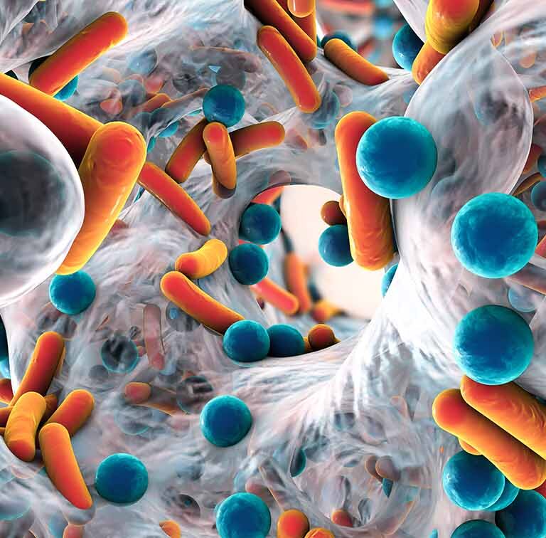 La resistencia antimicrobiana